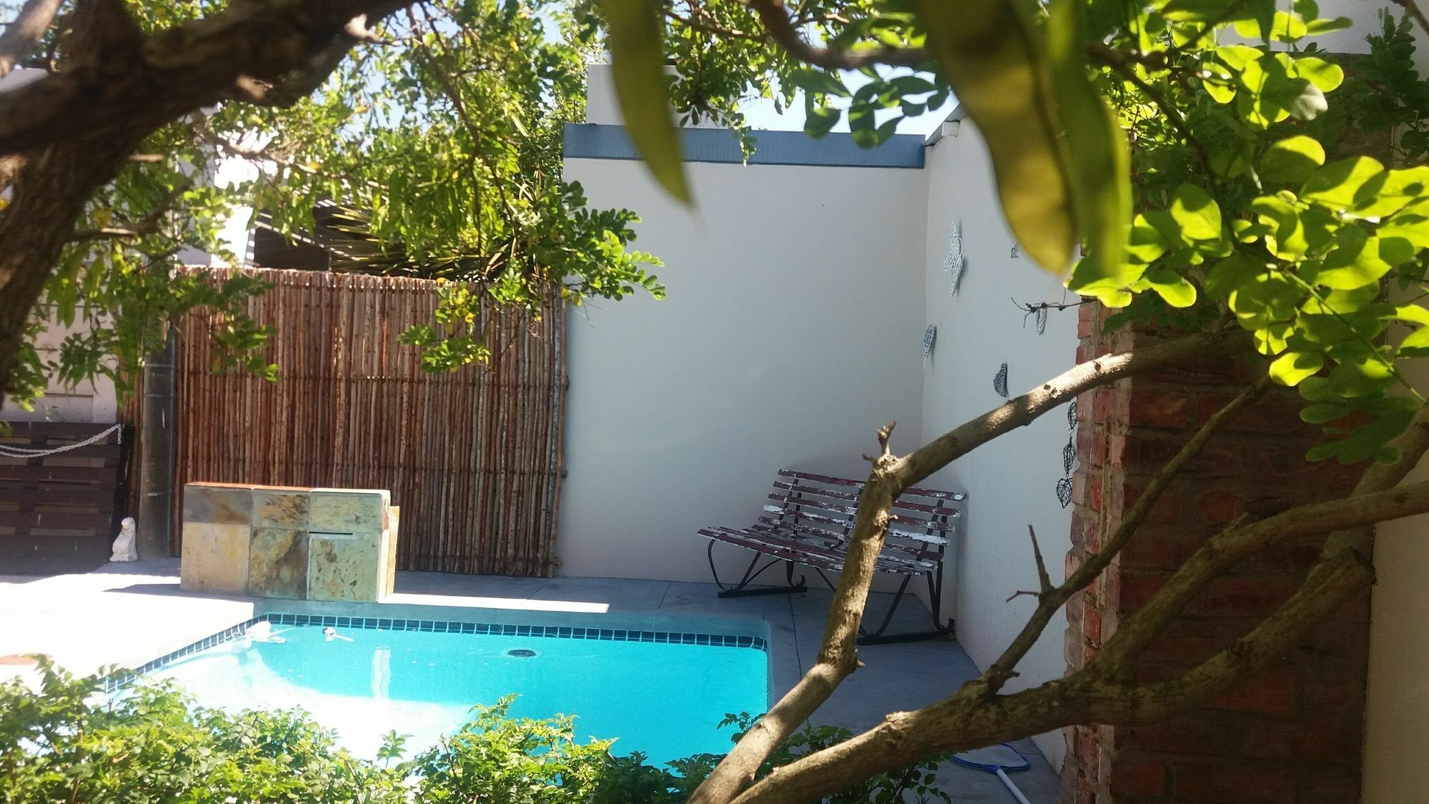 Guesthouse On Irvine Port Elizabeth Zewnętrze zdjęcie
